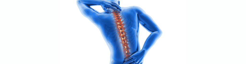 Expert chiropractor performing spinal correction for nerve flow adjustment.